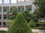 itp office office for lease for rent in thu duc ho chi minh