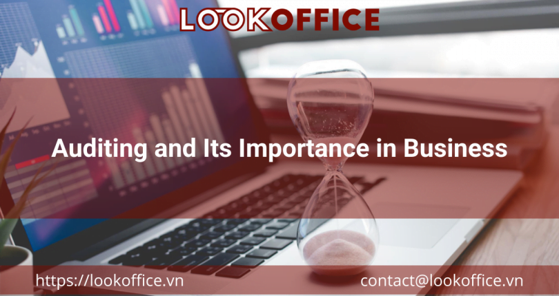 Auditing and Its Importance in Business