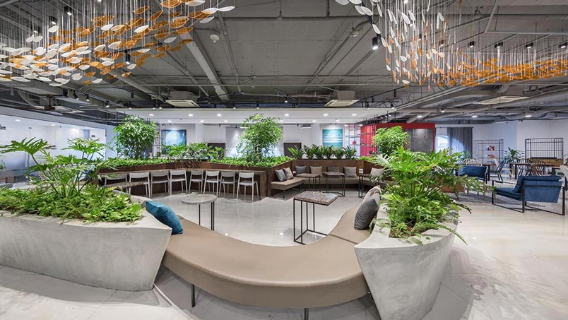 Disadvantages of Coworking Space