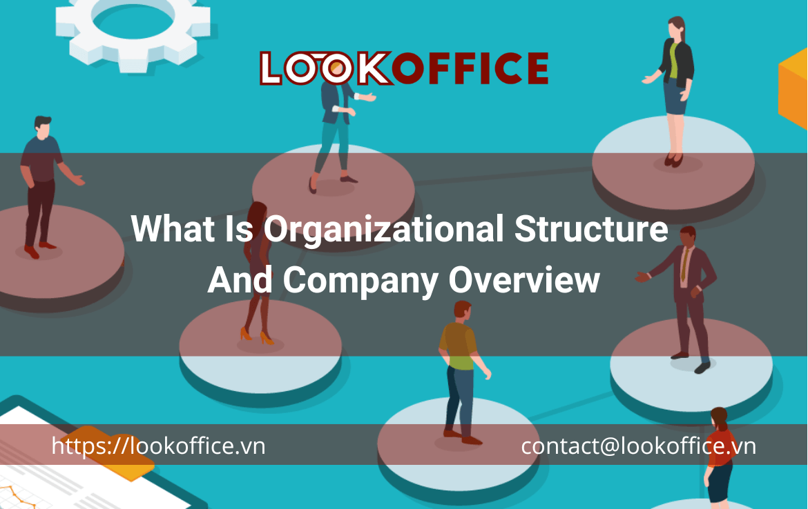 What Is Organizational Structure And Company Overview