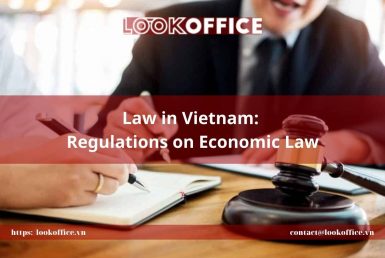 Law in Vietnam: Regulations on Economic Law - lookoffice.vn