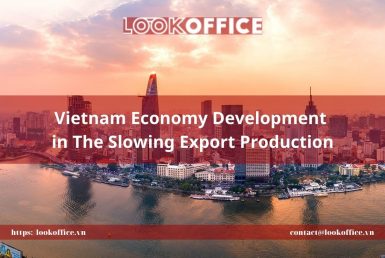 Vietnam Economy Development in The Slowing Export Production - lookoffice.vn
