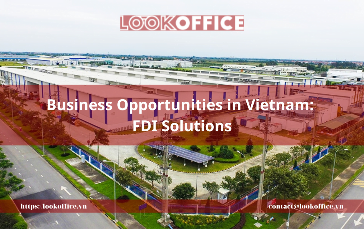 Business Opportunities in Vietnam: FDI Solutions