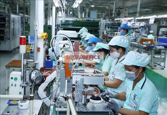 Artificial product in the Vietnam economy overview