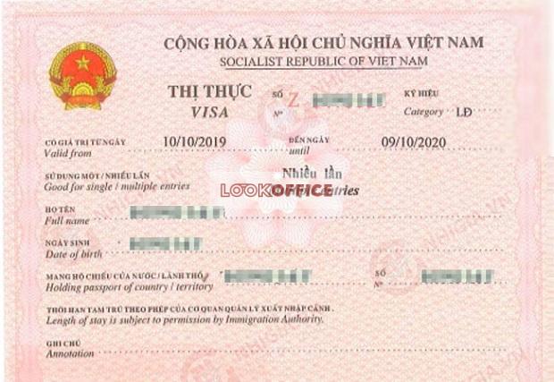 Types of working and working visas for foreigners in Vietnam.