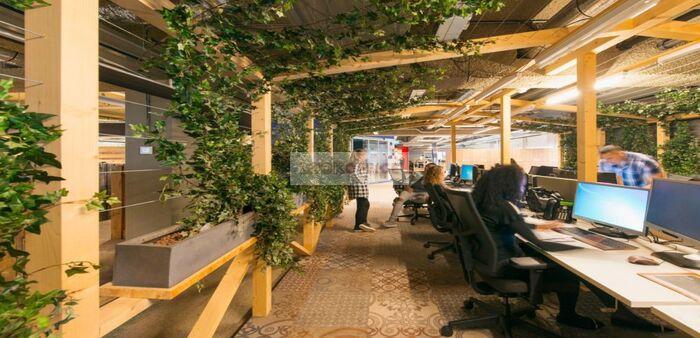 Coworking Space for Freelancers is friendly to nature - lookoffice.vn