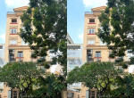 La Sen Building - lookoffice.vn