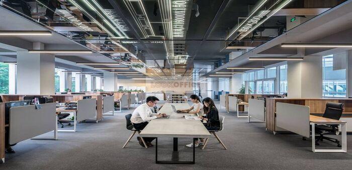 Things to note when establishing a company in district 7 - lookoffice.vn